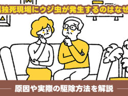 孤独死現場にウジ虫が発生するのはなぜ？原因や実際の駆除方法を解説