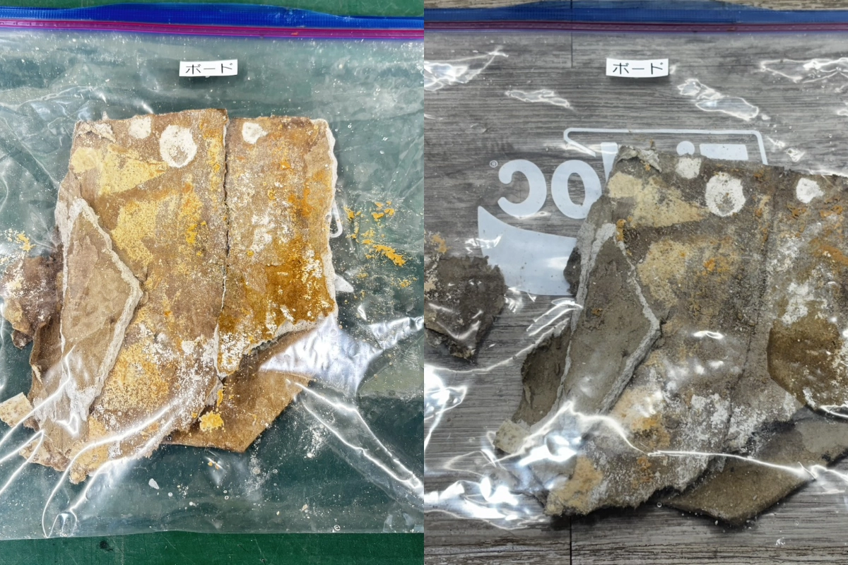 表面カビ菌採取検査