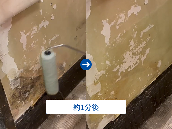カビ除去