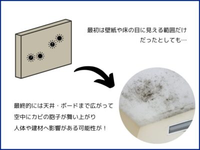 壁紙にカビが発生するとどうなる？