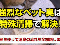 強烈なペット臭は特殊清掃で解決！実例を使って消臭の流れを全解説します