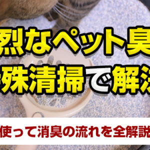 強烈なペット臭は特殊清掃で解決！実例を使って消臭の流れを全解説します
