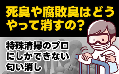 死臭や腐敗臭はどうやって消すの？特殊清掃のプロにしかできない匂い消し